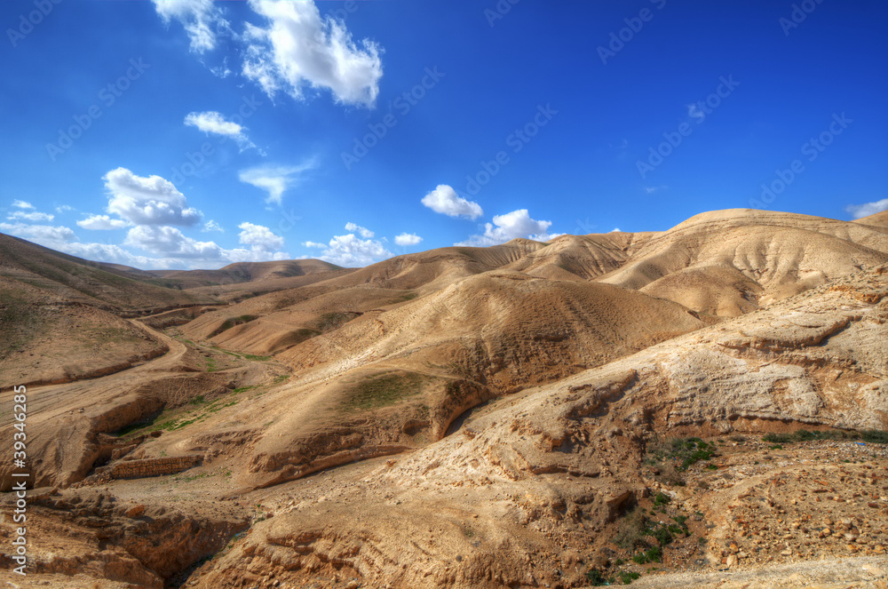 以色列的沙漠景观