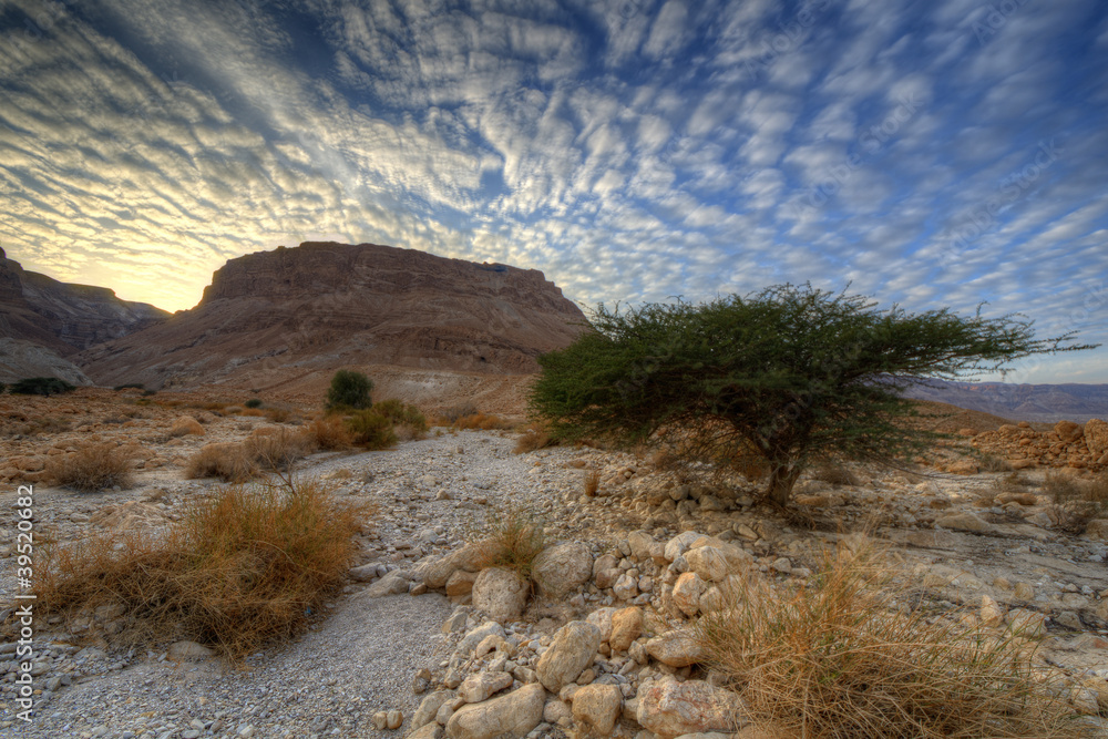 以色列的Masada