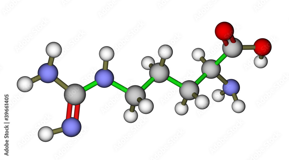氨基酸精氨酸分子结构