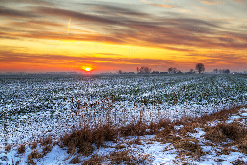 波兰白雪皑皑的草地上的田园日落