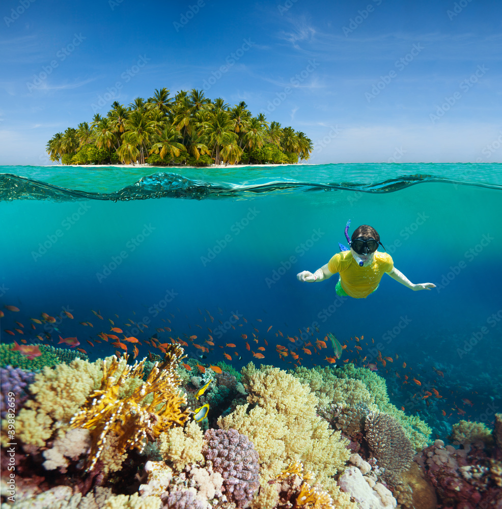 珊瑚、潜水员和棕榈岛