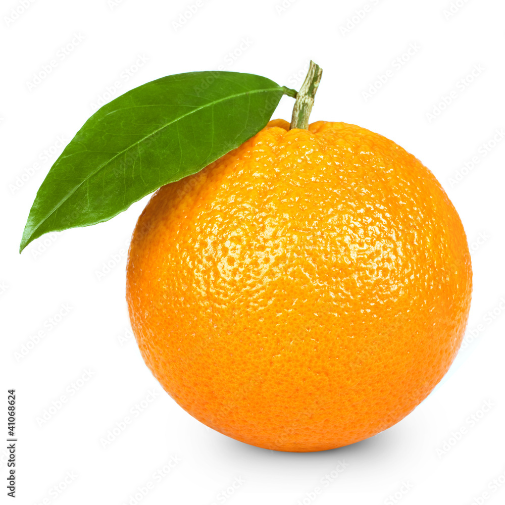 在白色背景上隔离的成熟橙色