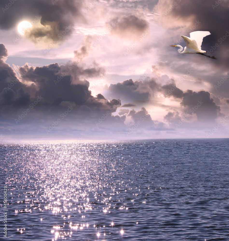 美丽的白鹭飞越海洋