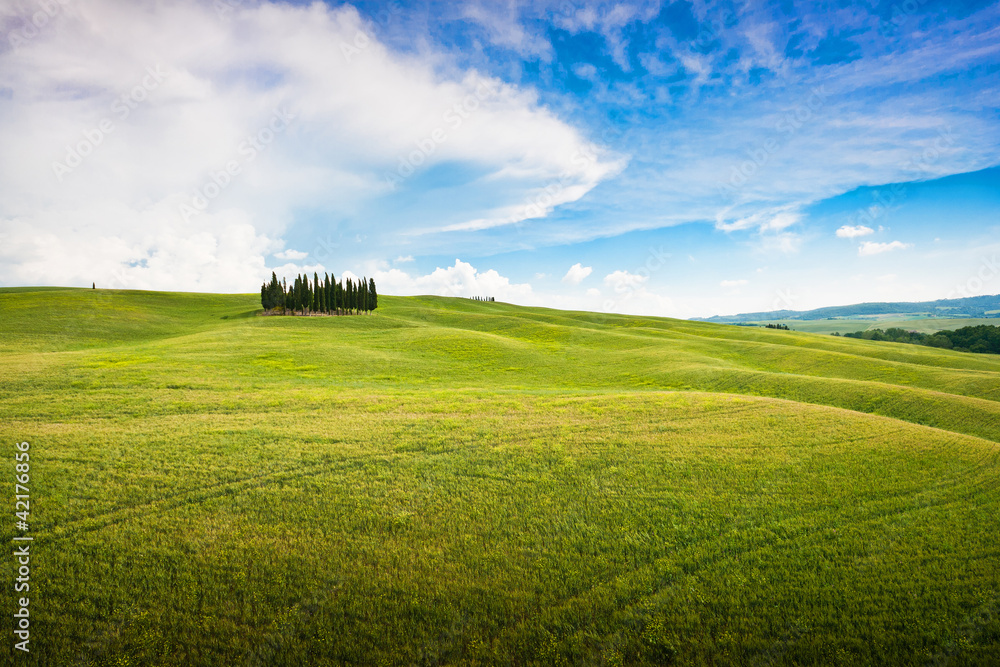 意大利托斯卡纳的风景自然景观