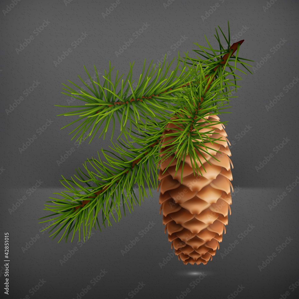Pine cone with branch, 10eps