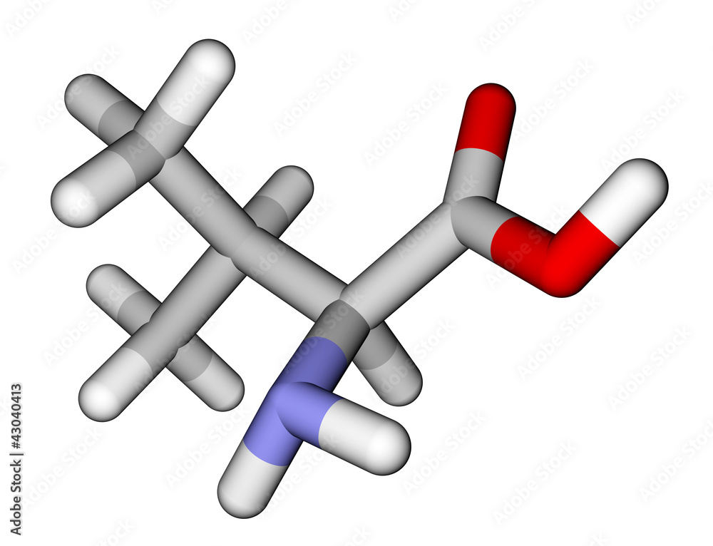 必需氨基酸缬氨酸3D分子模型