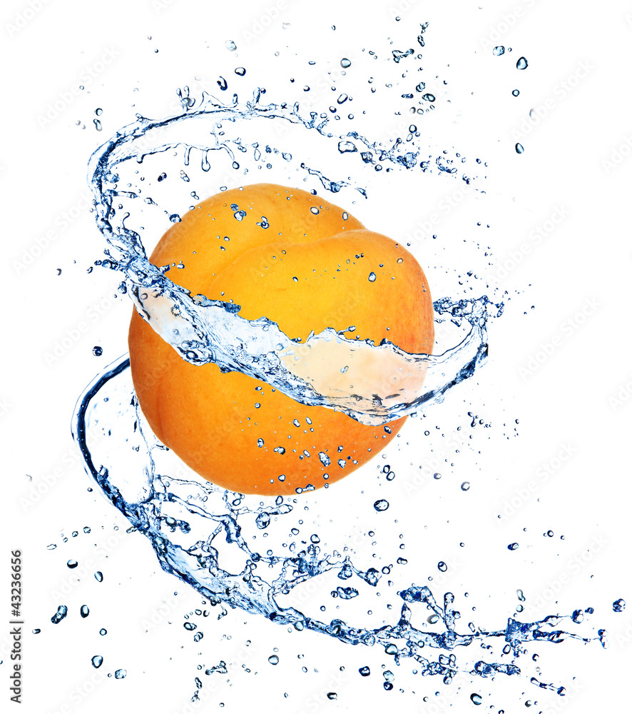 杏子泼水，白底隔离
