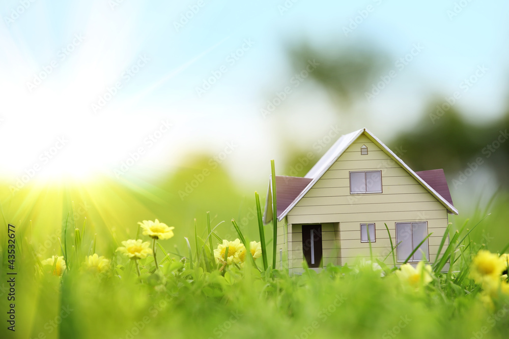绿草上的房子模型