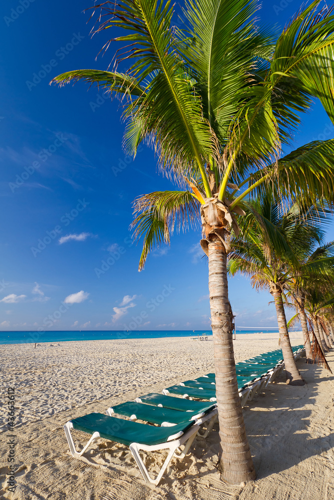 棕榈树环绕的加勒比海海滩风光