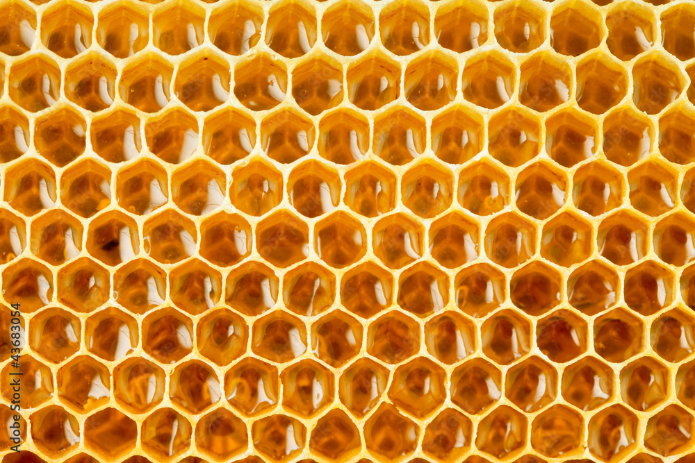 蜂巢中的蜂蜜