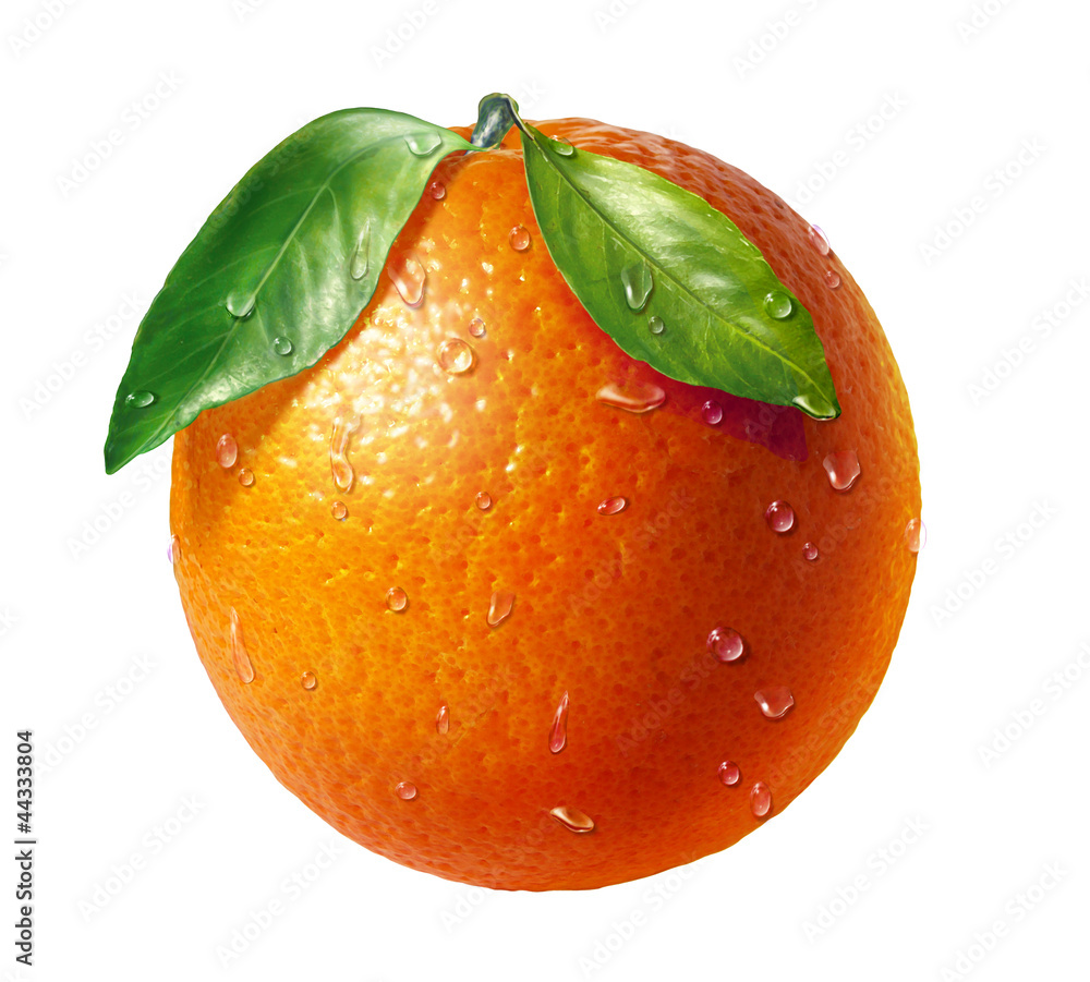 橙色新鲜水果，有两片叶子和水滴，白色