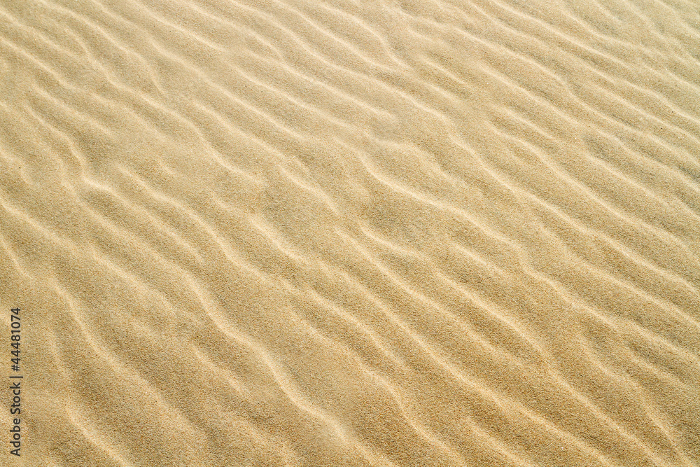 Yellow sand texture