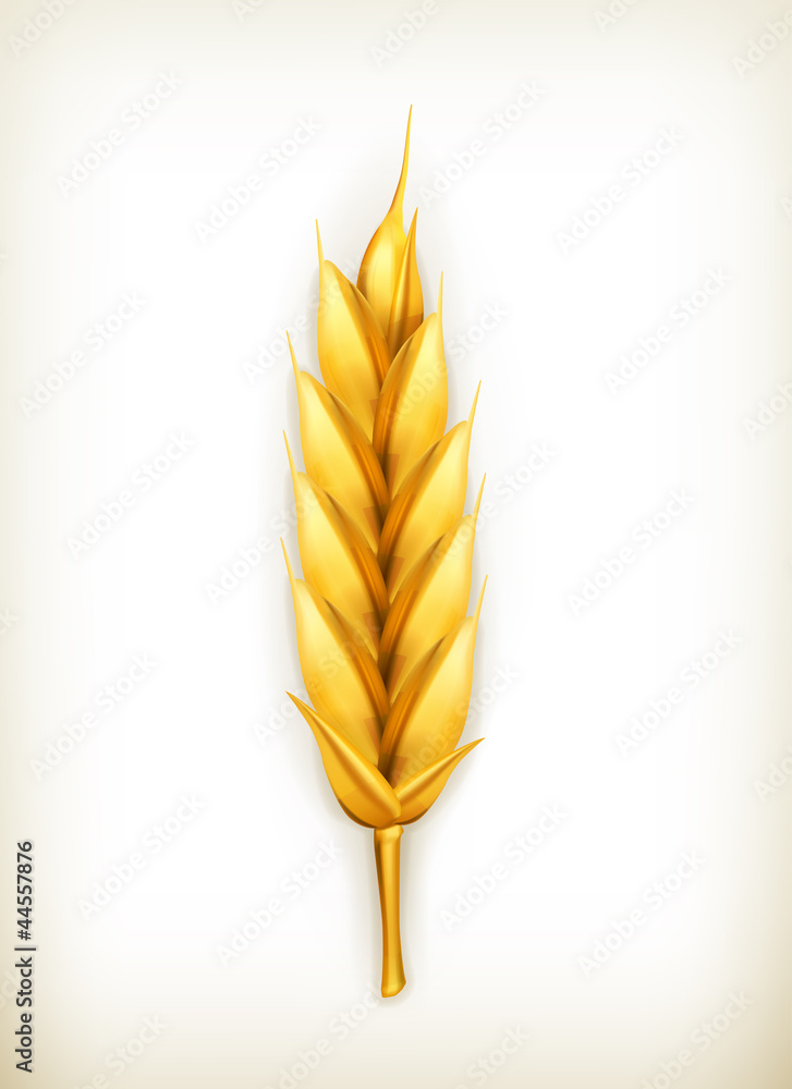小麦，矢量图标