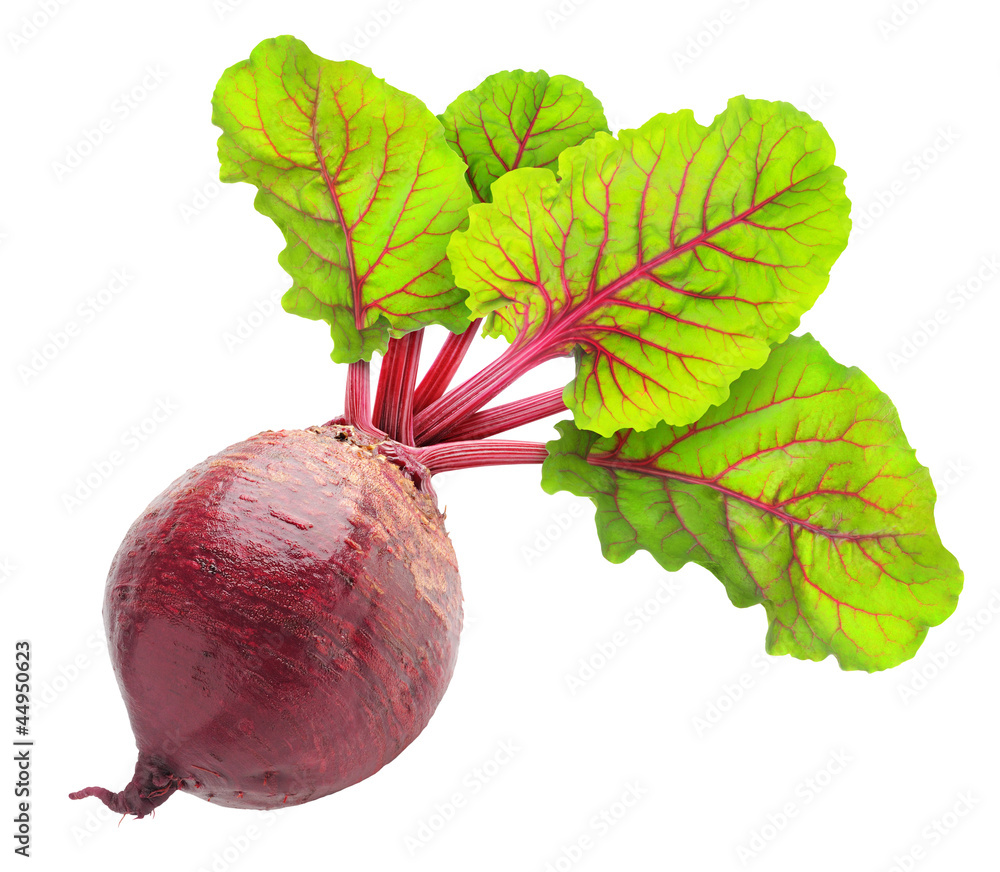 分离的甜菜。一个生的红色甜菜根，叶子分离在白色背景上
