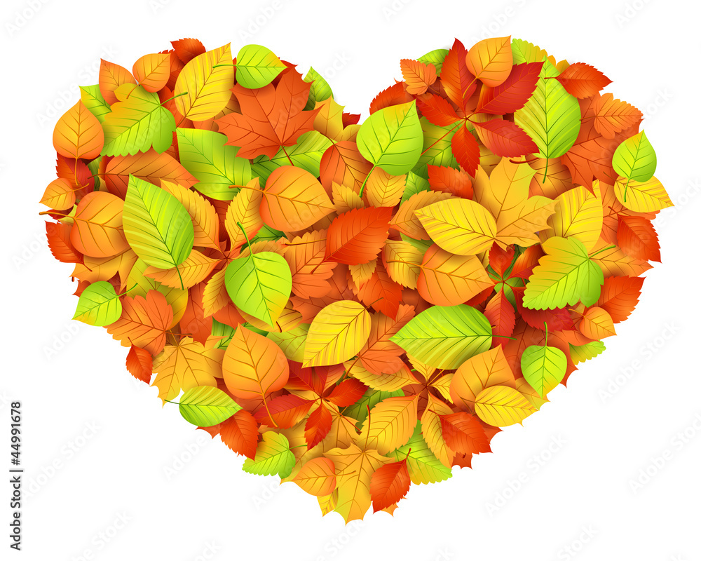 Big autumn heart. Vector