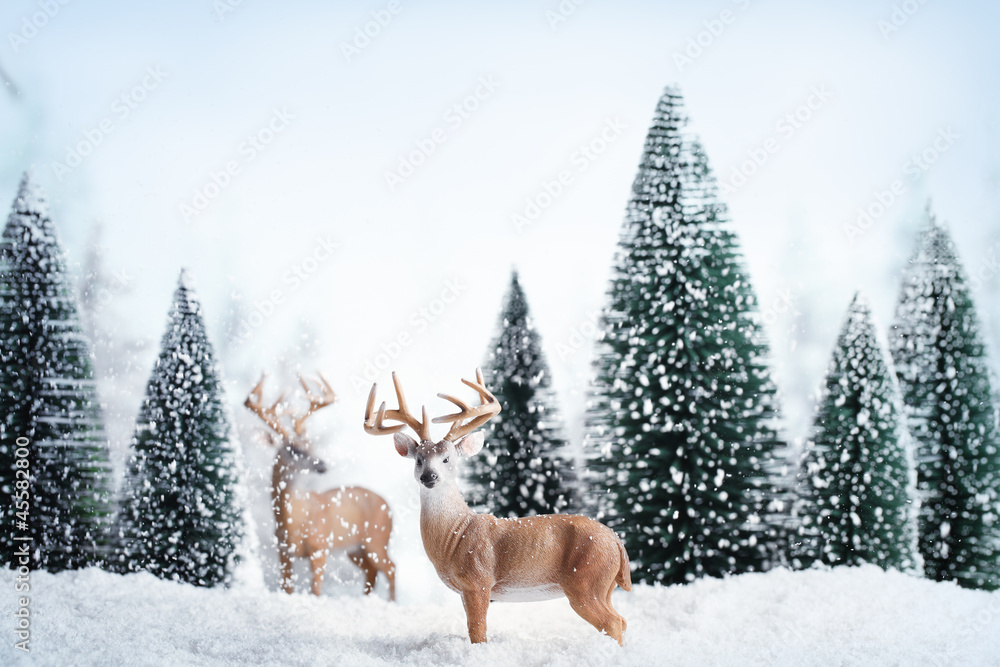 鹿、雪和冷杉的冬季景观。