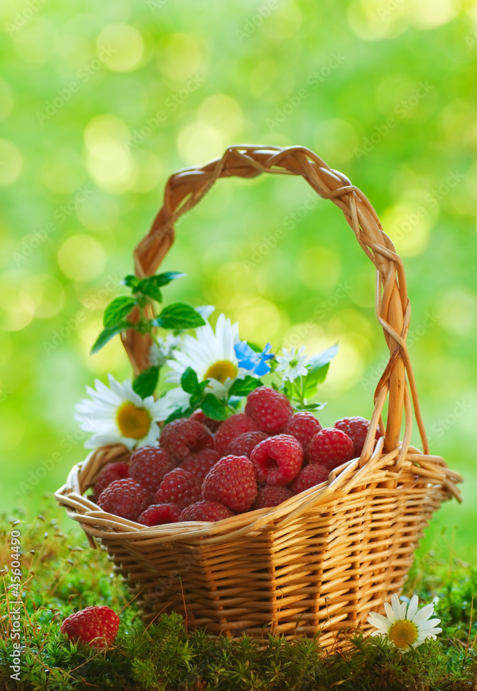 Ripe raspberries in the basket