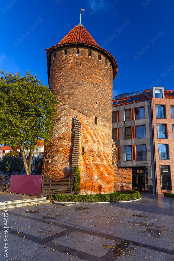 Swan tower in Gdansk, Poland