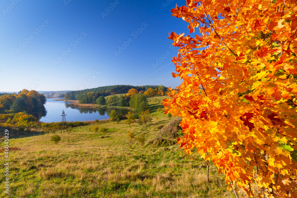 波兰草地和湖泊的秋天景色