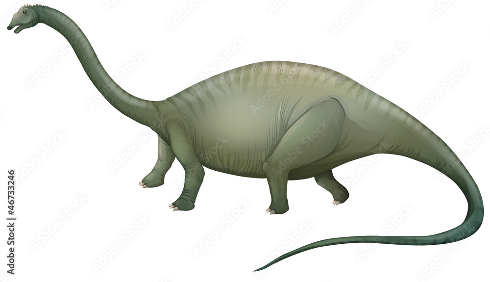 草食性恐龙