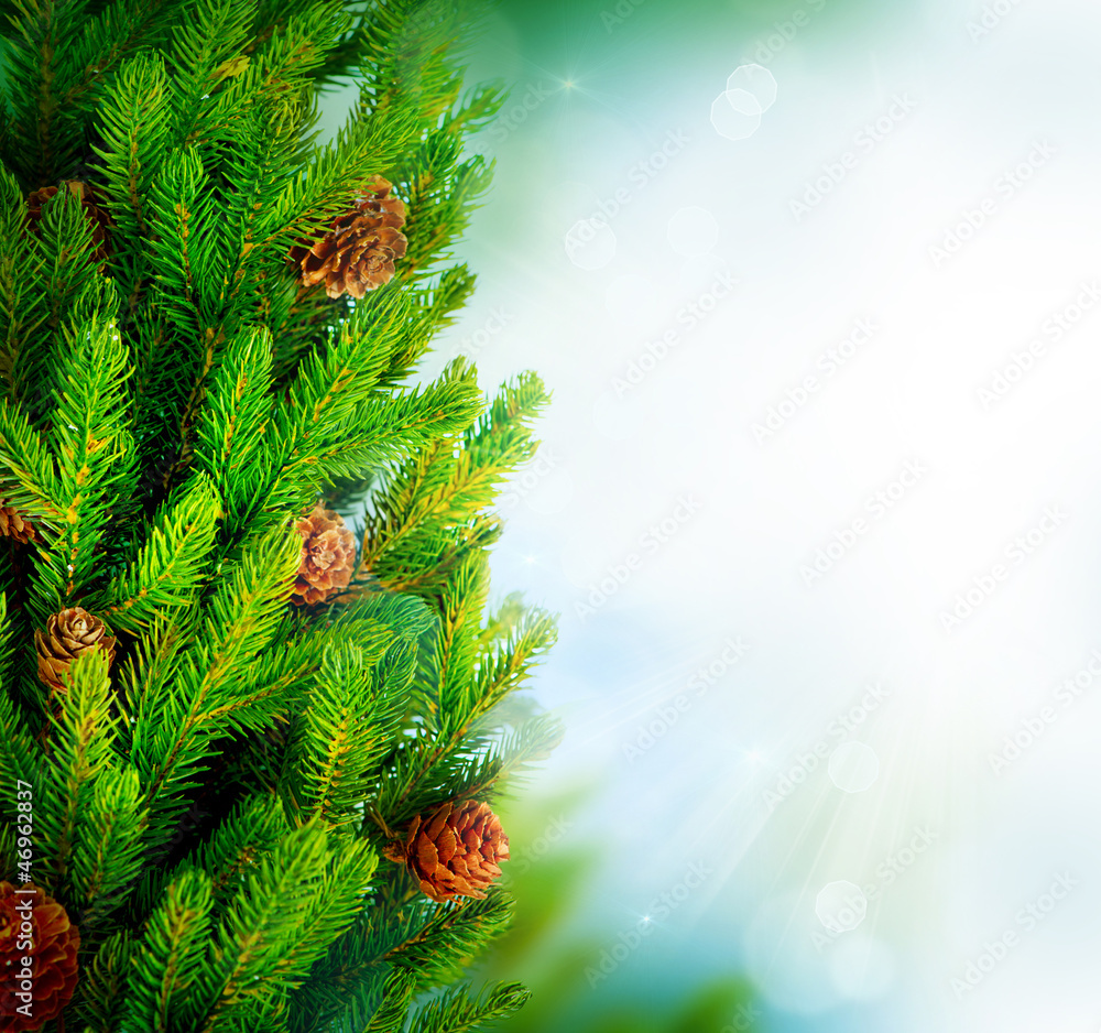 绿色模糊背景下的圣诞树边框设计