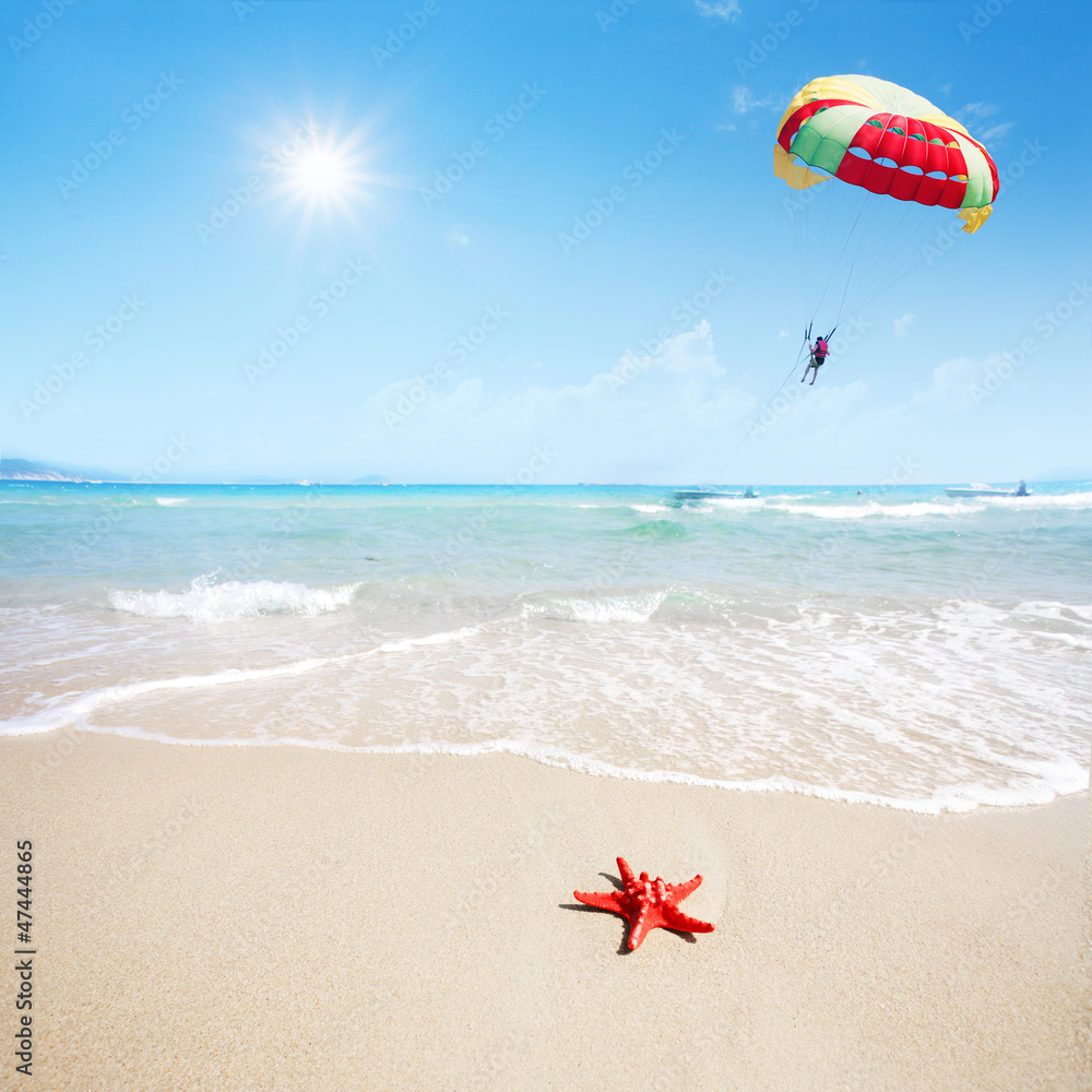 近距离观察海滩上的红海星和天空中的降落伞