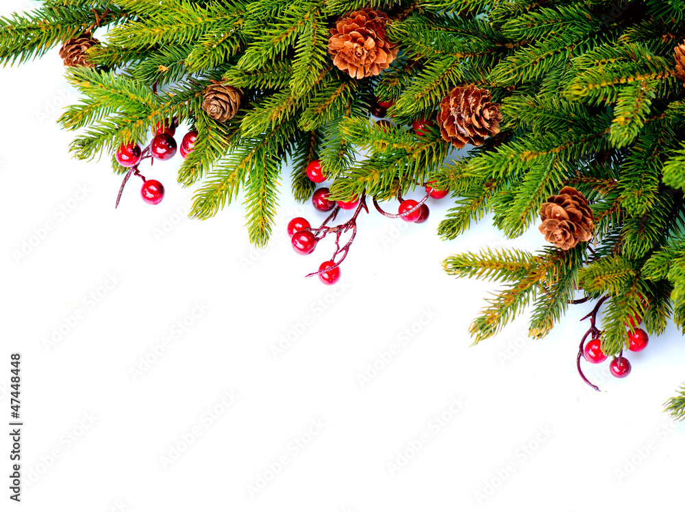 圣诞常青树边框设计。白色隔离