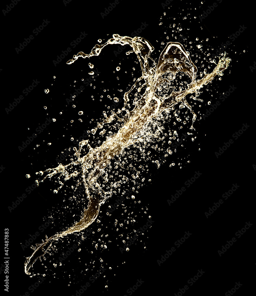 Champagne splash isolated on black background