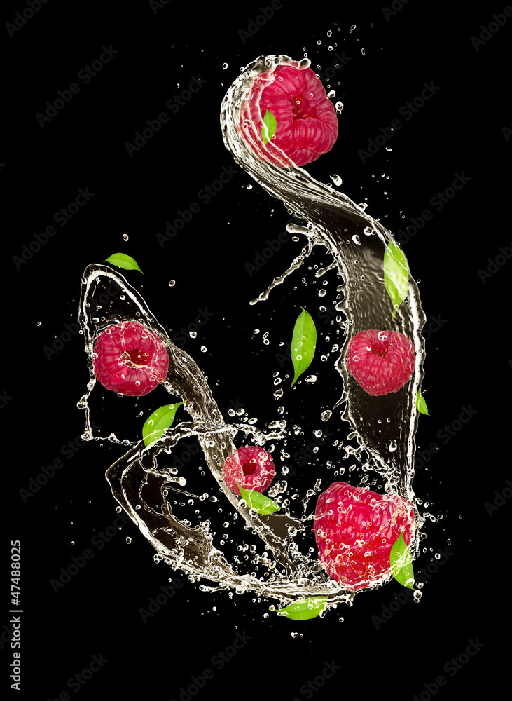 水中的树莓飞溅，在黑色背景下隔离