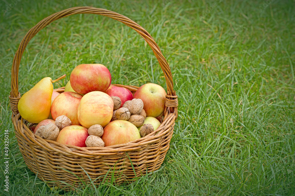 草地上柳条篮里的苹果