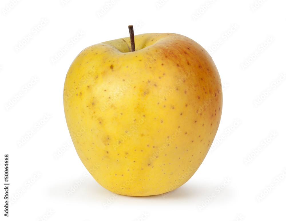 白底黄苹果隔离
