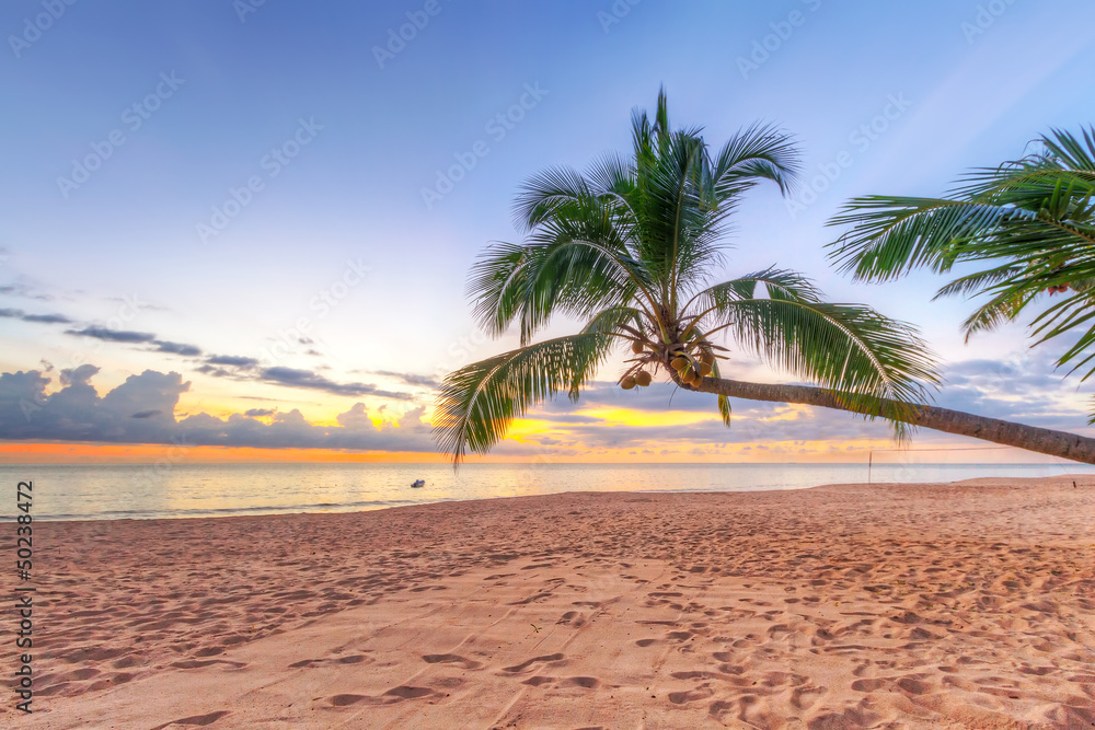 泰国热带椰子树下的日落