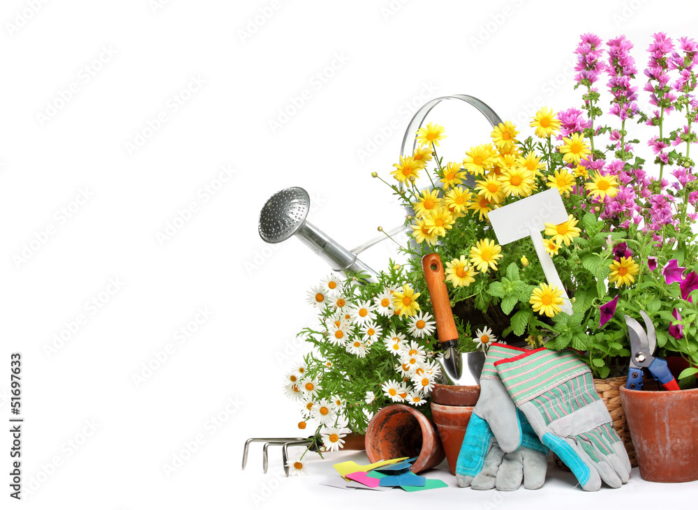 园艺工具和花卉