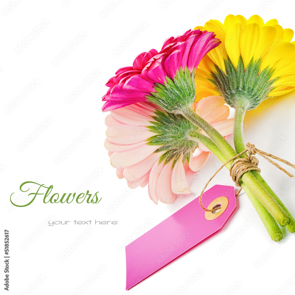 彩色非洲菊花，带礼品标签