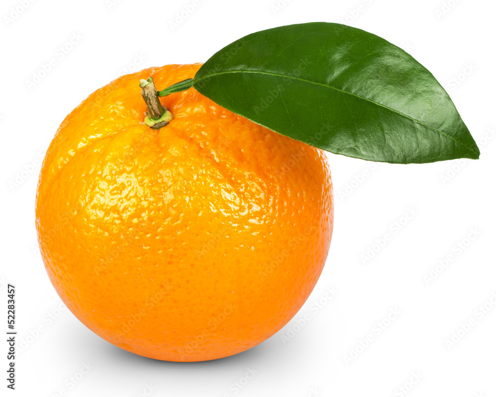 熟橙