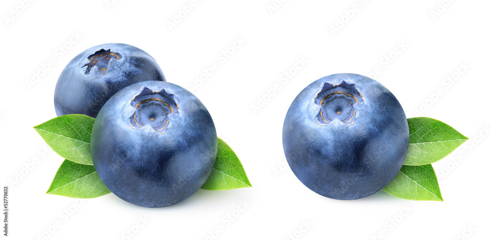 分离的蓝莓。两张在白色背景上分离的蓝莓图像
