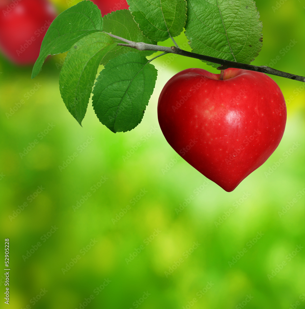 apple heart