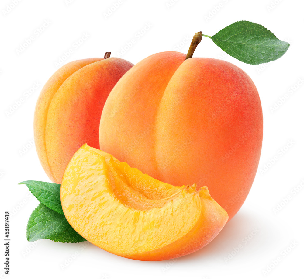分离的杏子。两个新鲜的杏子在白色背景上分离