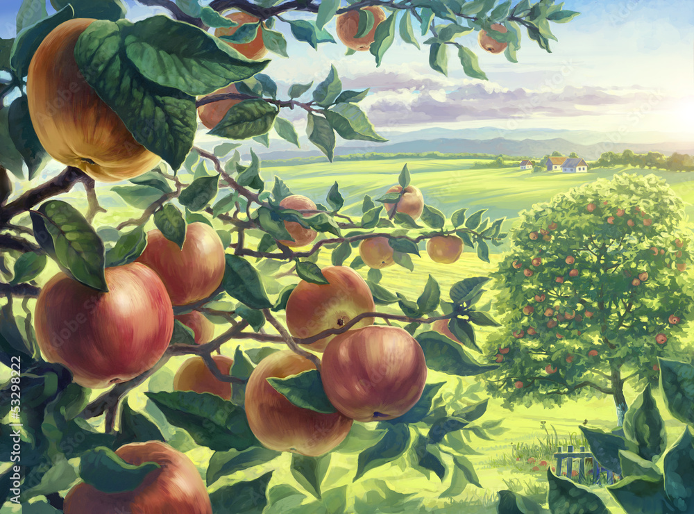 苹果的夏日风景