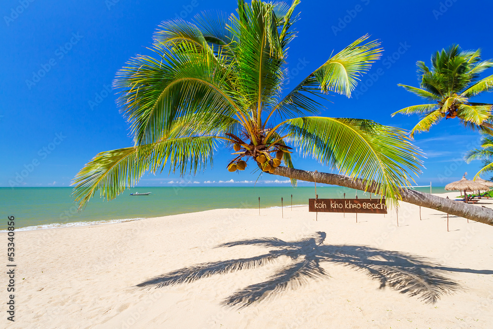泰国Koh Kho Khao岛海滩上的热带棕榈树
