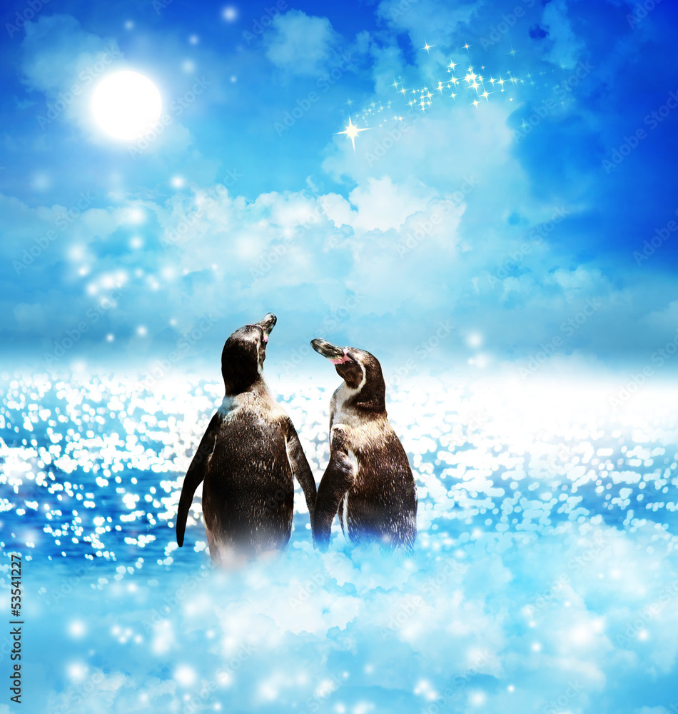 企鹅情侣在夜间奇幻景观中