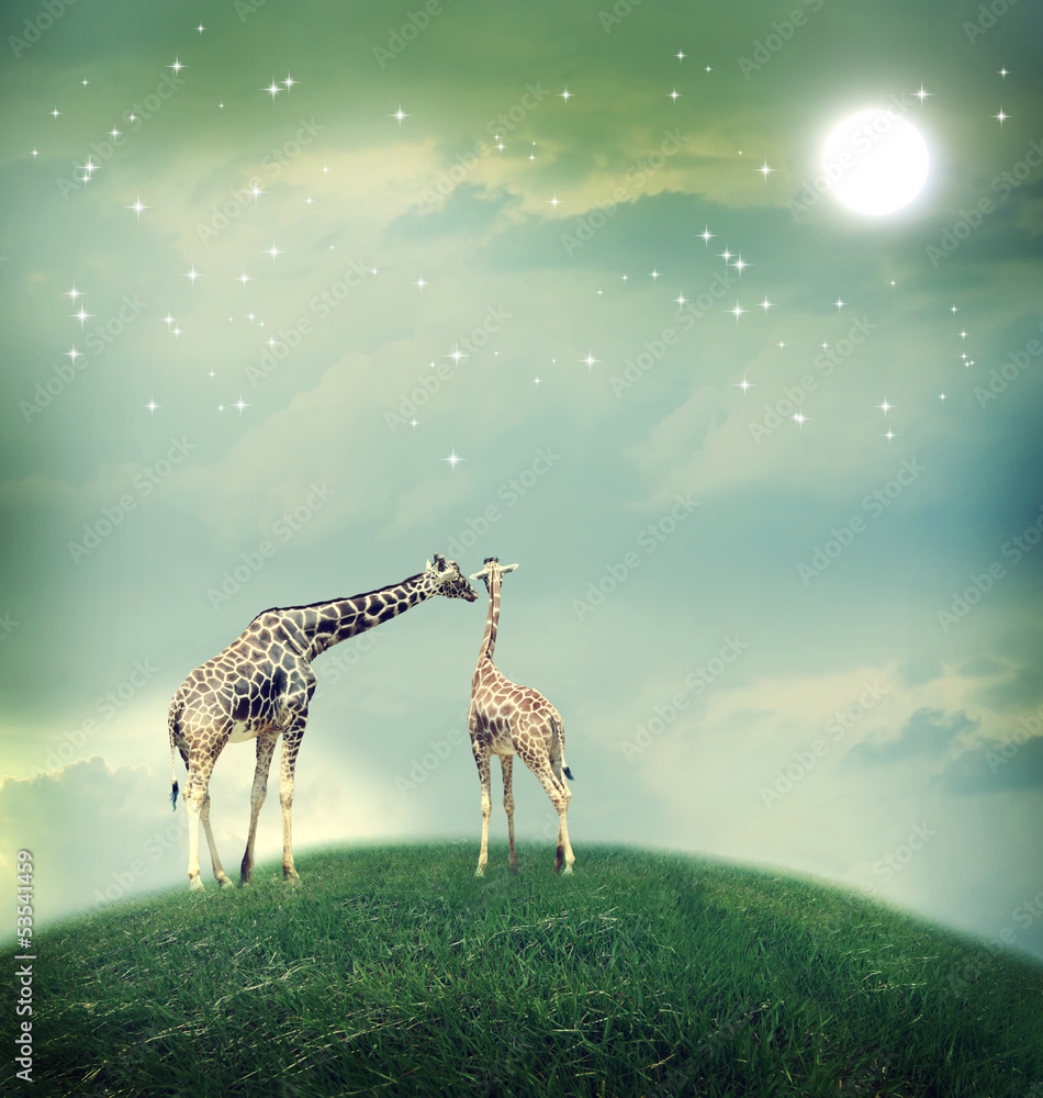 长颈鹿在友谊或爱情概念中的形象