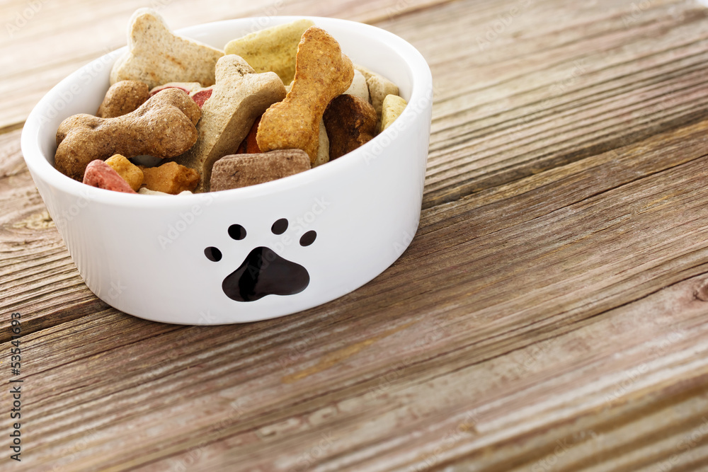 Dog food in bowl