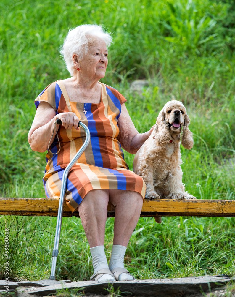 老妇人和她的狗坐在长椅上