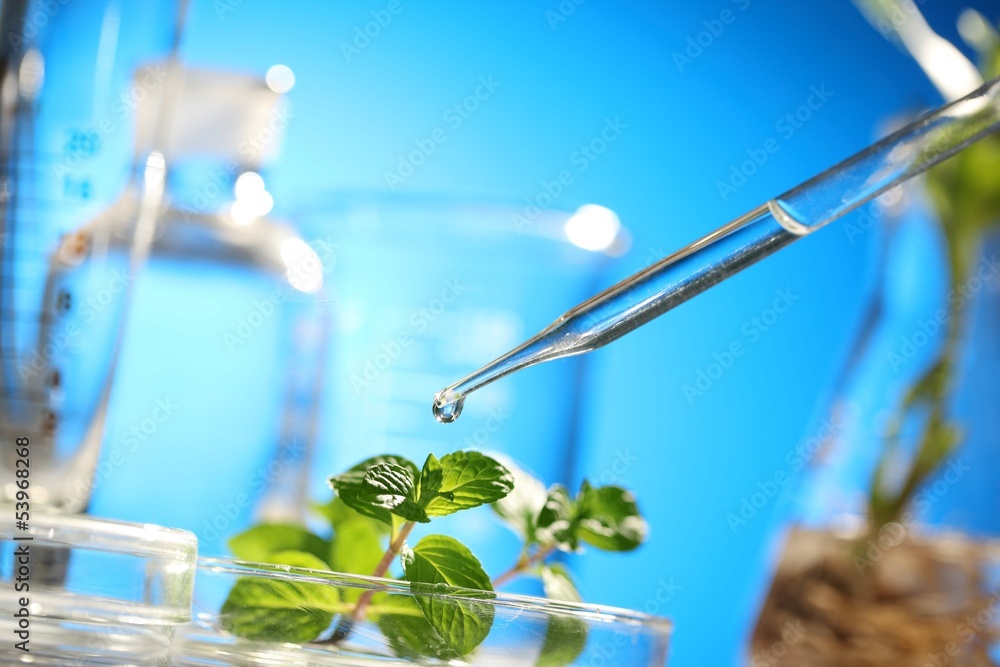 sprouts on test tube