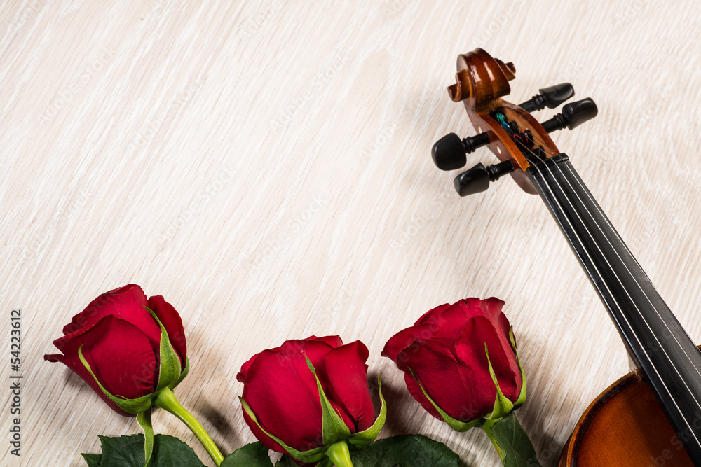 Violin, rose and music books