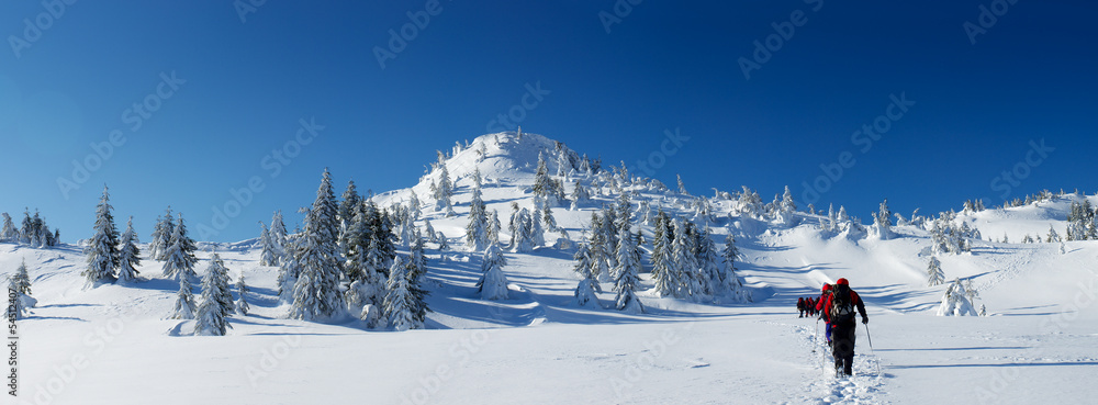 冬天的山脉。美丽的冬季景观