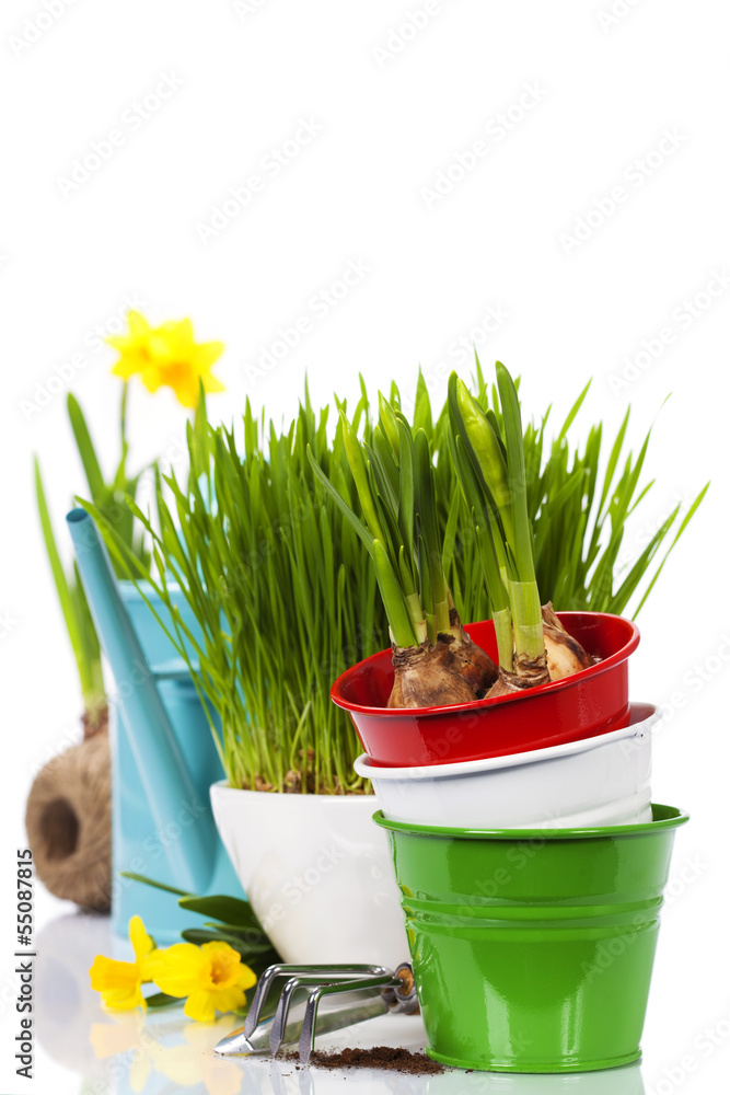 春花与园林工具