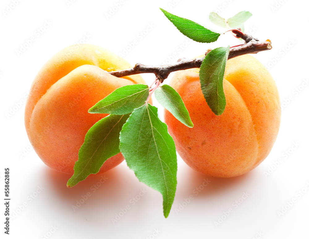树枝上有叶子的杏子