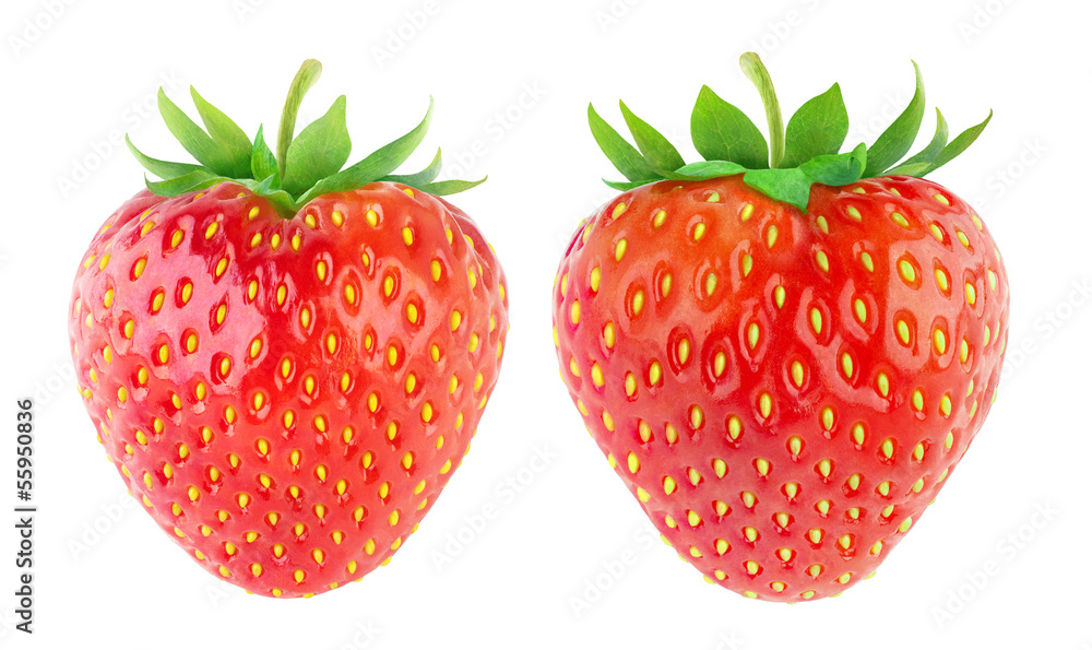 分离的草莓。两种新鲜的草莓果实，茎在白色背景上分离